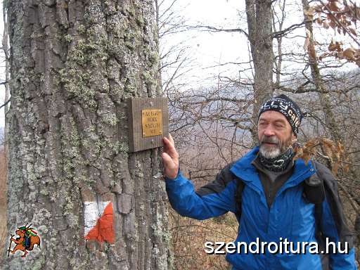 101-Szilvasvarad-20131204.JPG