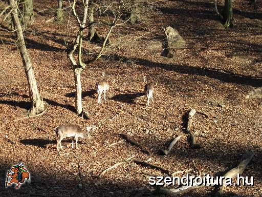 104-Szilvasvarad-20131204.JPG