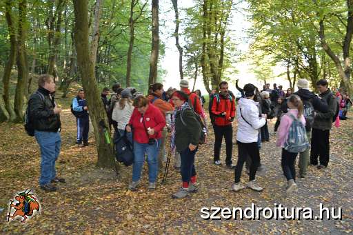 102-Szkgy-20131005.JPG