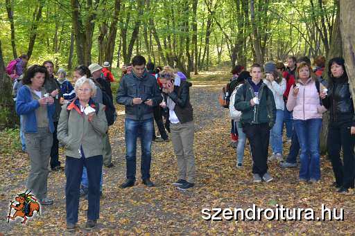 103-Szkgy-20131005.JPG
