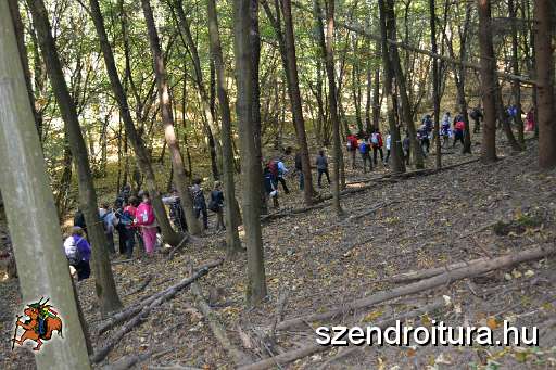 110-Szkgy-20131005.JPG