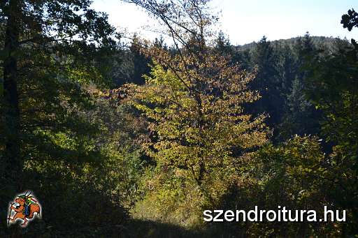 111-Szkgy-20131005.JPG