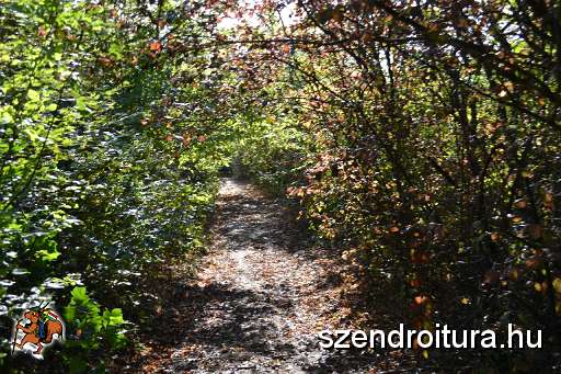 112-Szkgy-20131005.JPG