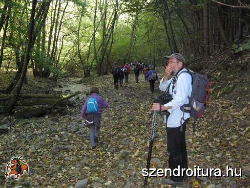 121-Szkgy-20131005.JPG