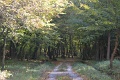 105-Szkgy-20131005