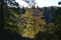 111-Szkgy-20131005