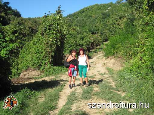 101-Tokaji-Bortura-2013-09-10.JPG