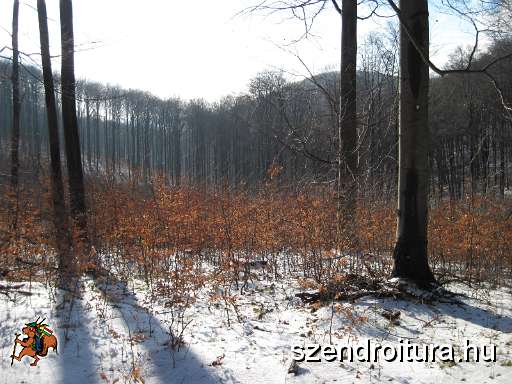 103-Tortura-35km-20131221.JPG