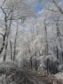 03-varbo-evnyito