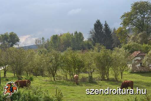 107_Szendro_korul_gyalogszerrel.jpg