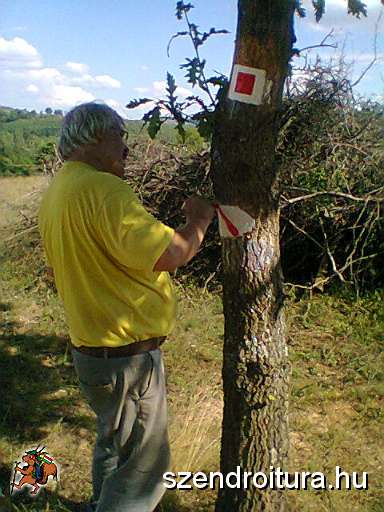 P_negyzet_jelfestes_105.JPG