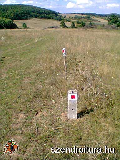 P_negyzet_jelfestes_106.JPG