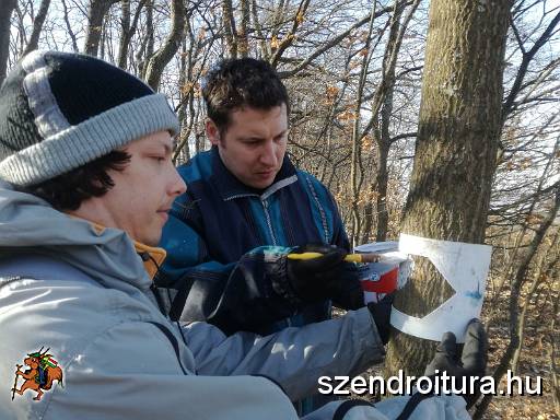 201703_jelzesfestes_113.JPG