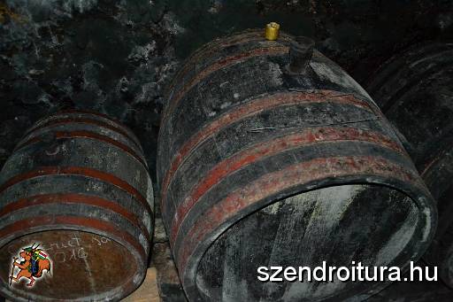 201706_ejszakai_tura_110.JPG