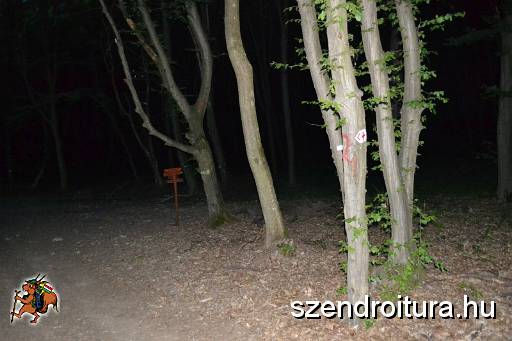 201706_ejszakai_tura_113.JPG