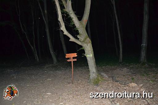 201706_ejszakai_tura_114.JPG