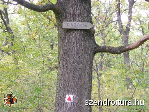 201710_kaptarkovek_nyomaban_100.JPG