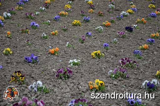 vitezlo_2017_best_of_5_109.jpg
