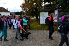 galeria-20190928-szendro-korul-gyalogszerrel-179