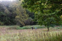 galeria-20190928-szendro-korul-gyalogszerrel-209