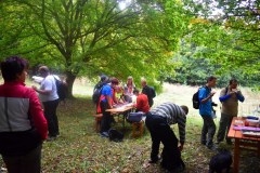 galeria-20190928-szendro-korul-gyalogszerrel-215