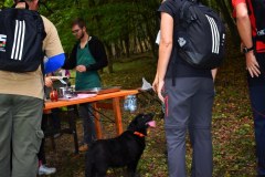galeria-20190928-szendro-korul-gyalogszerrel-218
