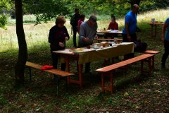 galeria-20190928-szendro-korul-gyalogszerrel-223