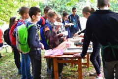 galeria-20190928-szendro-korul-gyalogszerrel-232