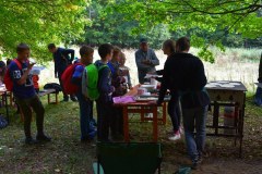 galeria-20190928-szendro-korul-gyalogszerrel-233