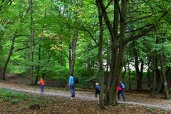 galeria-20190928-szendro-korul-gyalogszerrel-235