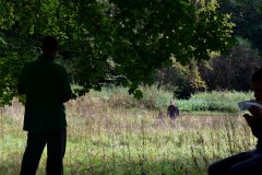 galeria-20190928-szendro-korul-gyalogszerrel-238