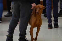 galeria-20190413-vitezlo-tura-154