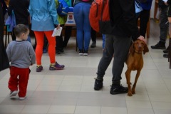 galeria-20190413-vitezlo-tura-155