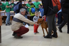 galeria-20190413-vitezlo-tura-156