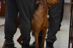 galeria-20190413-vitezlo-tura-157