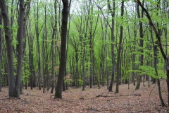 galeria-20190413-vitezlo-tura-207