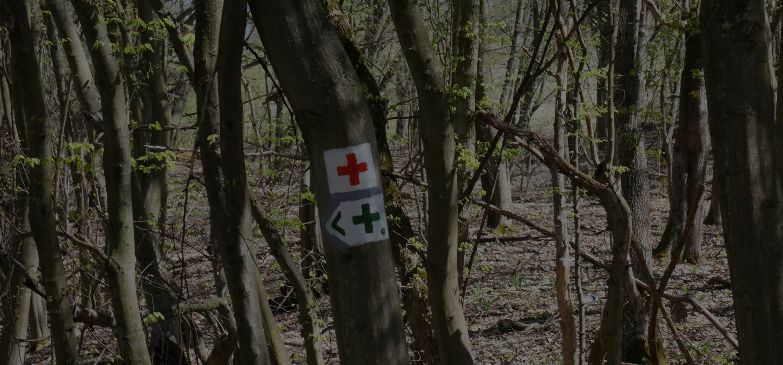 Szendrői Természetjáró Szakosztály Honlapja Vitézlő túra Szendrő